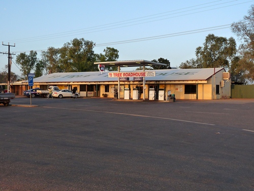 Roadhouse Ti Tree
